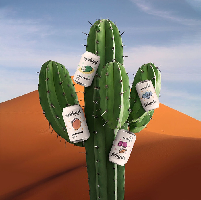 3_spiked_cactus