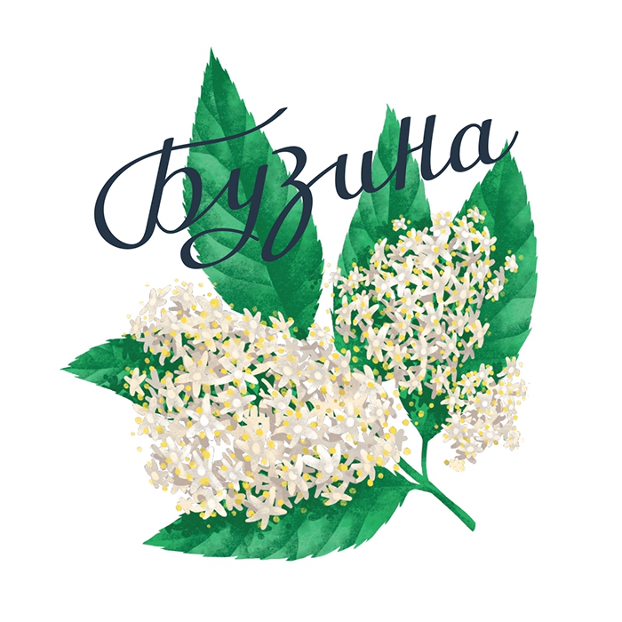 Buzina Buzina