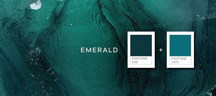 EvoletSelection_Colour EvoletSelection_Colour
