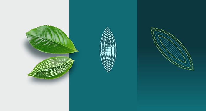 EvoletSelection_LeafInspiration EvoletSelection_LeafInspiration