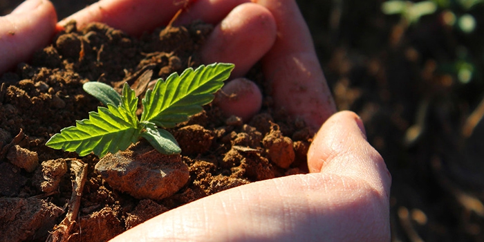 -World-Brand-Design-Society-1 -World-Brand-Design-Society-1