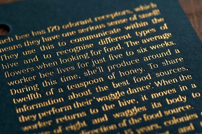 8-Botanic-world-brand-design