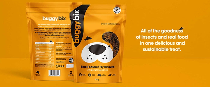 buggybix-4 buggybix-4