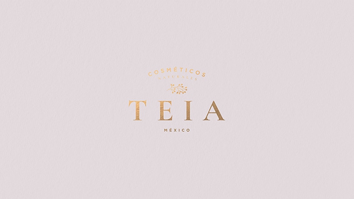 2-teia-world-brand-design