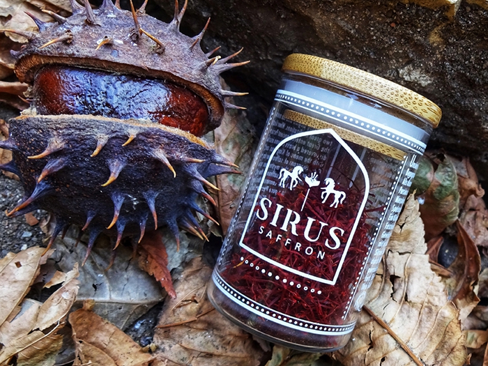 CreativeByDefinition-Sirus5