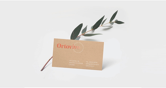 Branding-and-Packaging-Design-for-Ortovivo-2
