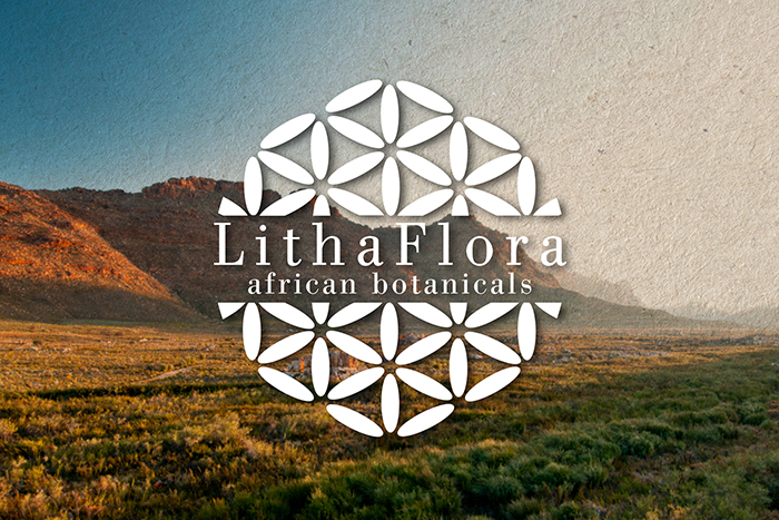 ToddAnderson_LithaFlora IMAGE6 ToddAnderson_LithaFlora IMAGE6