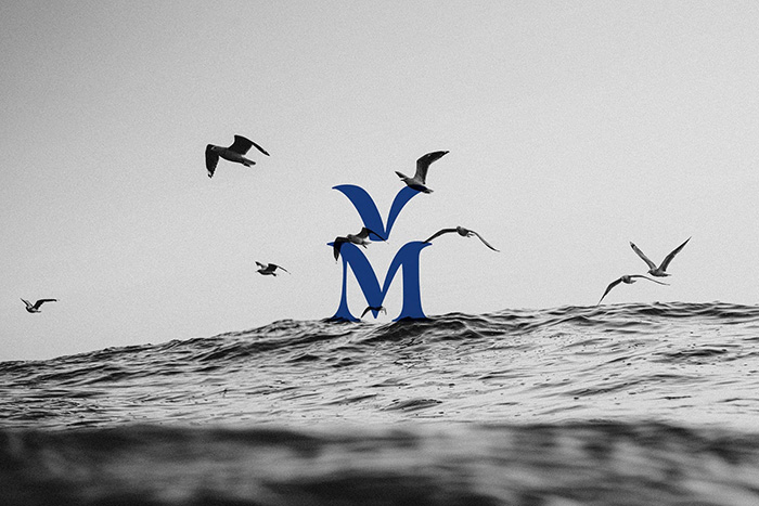 My-project-017