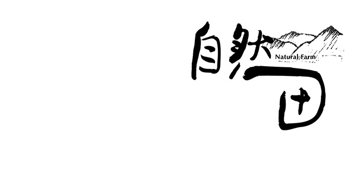 4 (4)