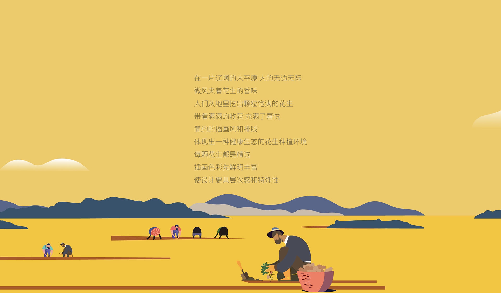 沣胜花生油-16